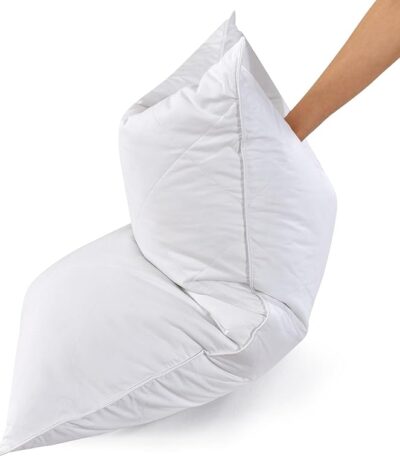 INM Ideas Pillow price in pakistan