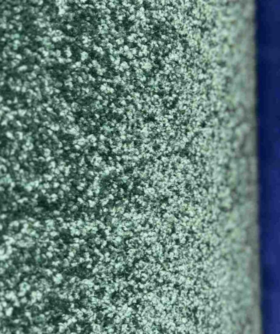 Classic Shag Pile Wall to Wall Carpet - Image 3