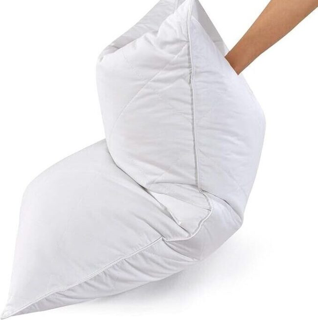 INM Ideas Pillow price in Pakistan