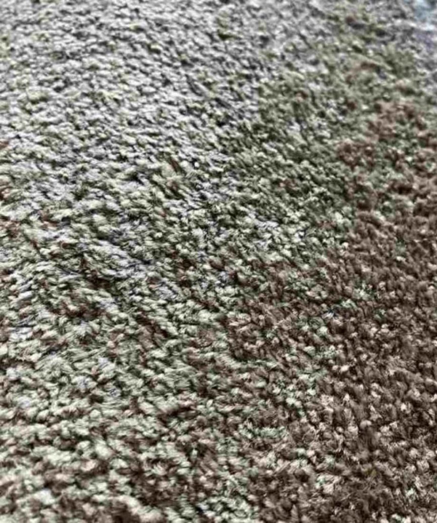 Soft Luxury Shaggy Carpet
