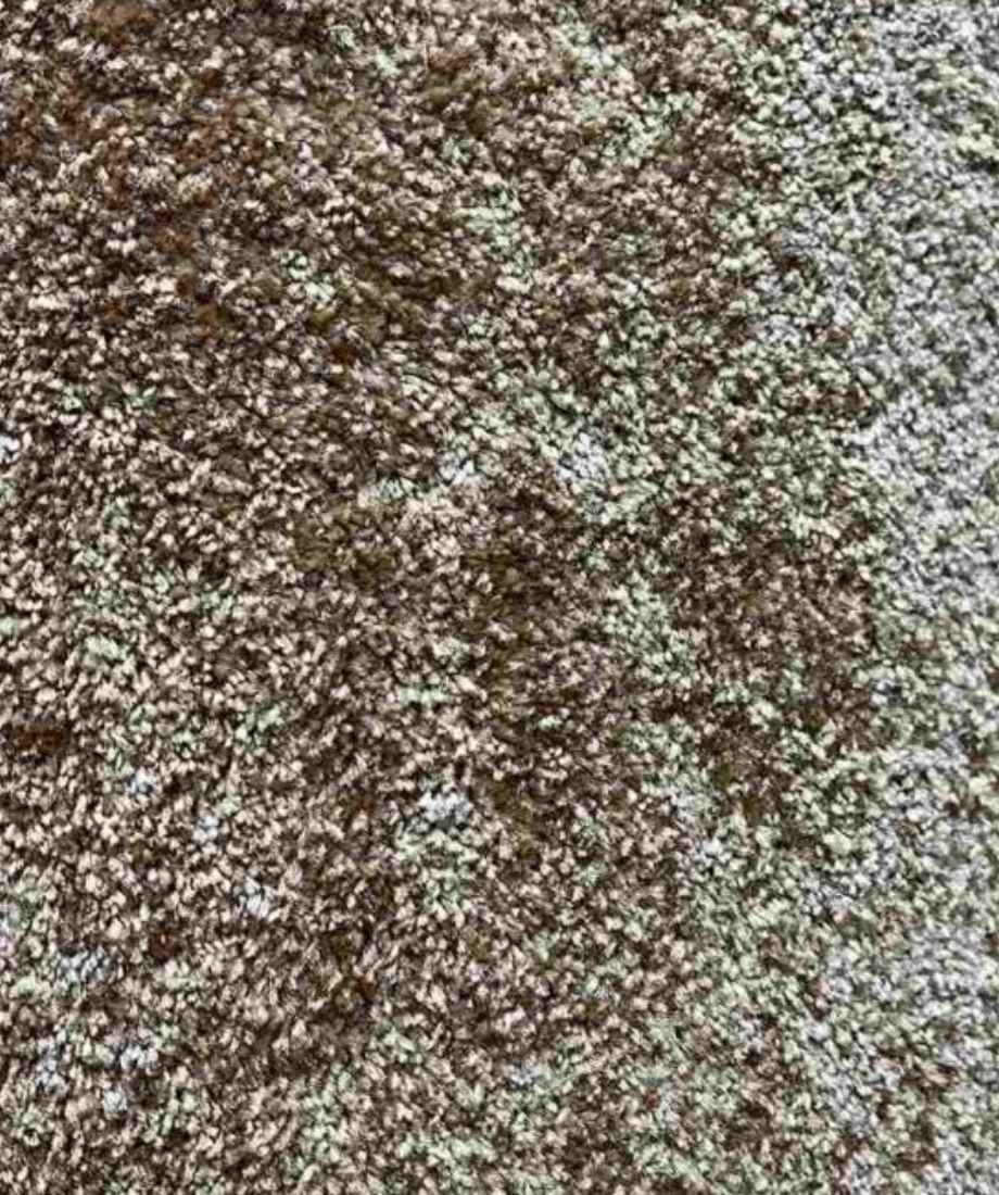 Soft Luxury Shaggy Carpet - Image 5