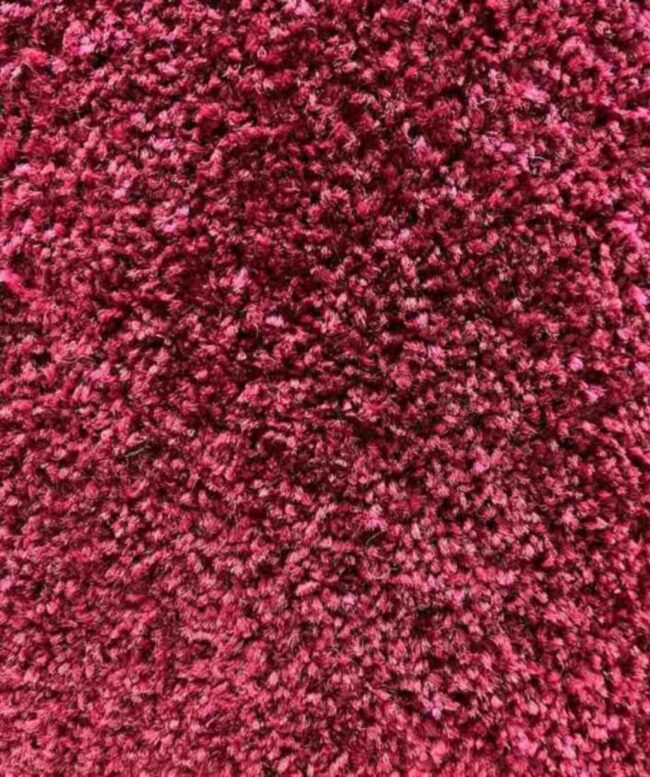 Soft Luxury Shaggy Carpet