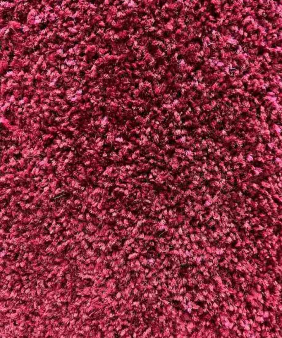 Soft Luxury Shaggy Carpet