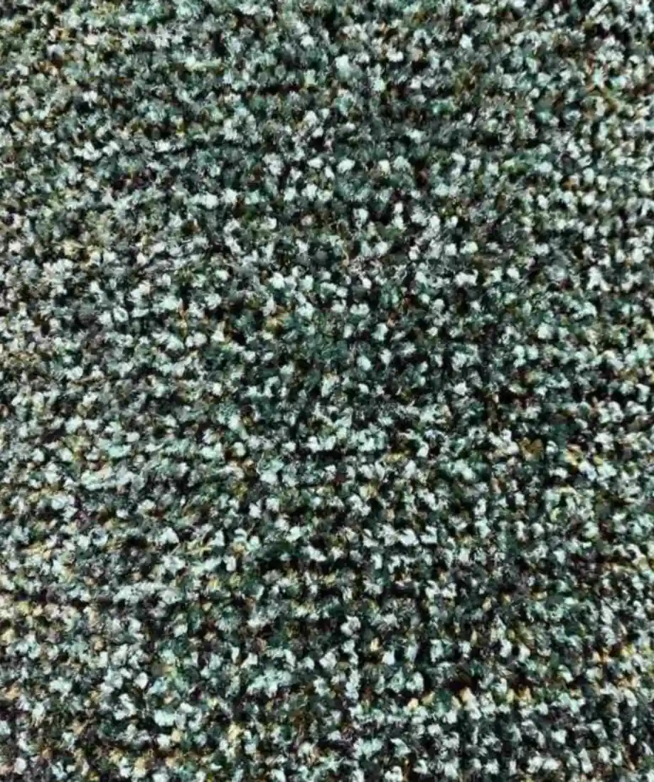 Speckled Twist Wall to Wall Carpet - Image 3
