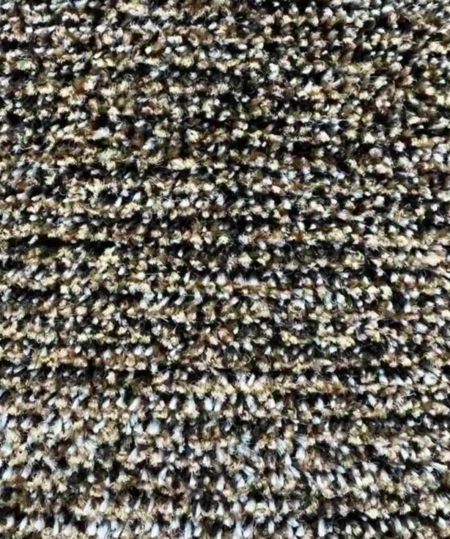 Speckled Twist Wall to Wall Carpet - Image 2