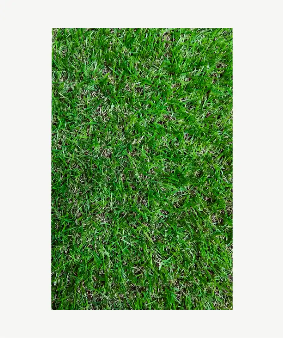 Realistic Artificial Grass Turf